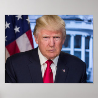 Donald Trump als President Poster