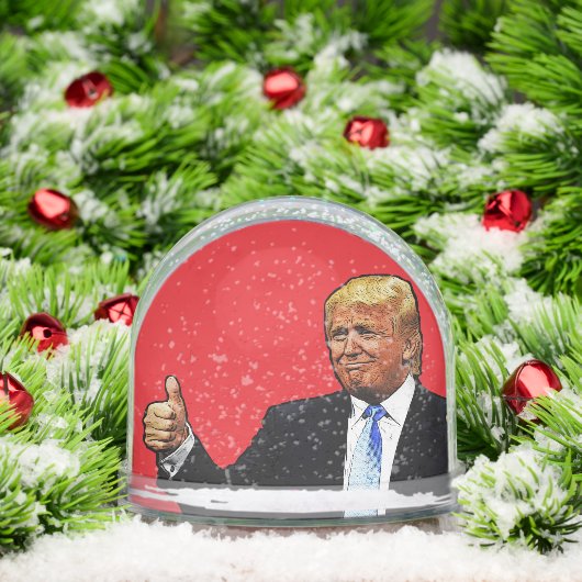 DONALD TRUMP CHRISTMAS SNOW GLOBE (Noël)