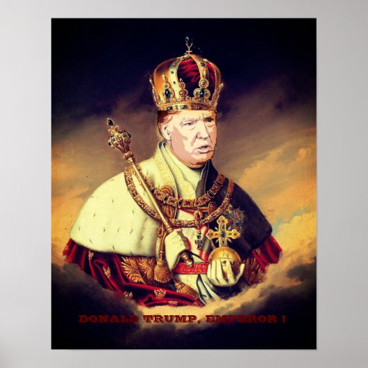 DONALD TRUMP, EMPEROR! POSTER (Voorkant)