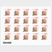 Donald Trump is een oude Man Sticker (Vel)