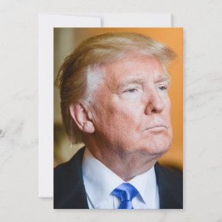 Donald Trump Portrait