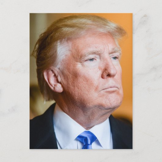 Donald Trump-portret Briefkaart (Voorkant)