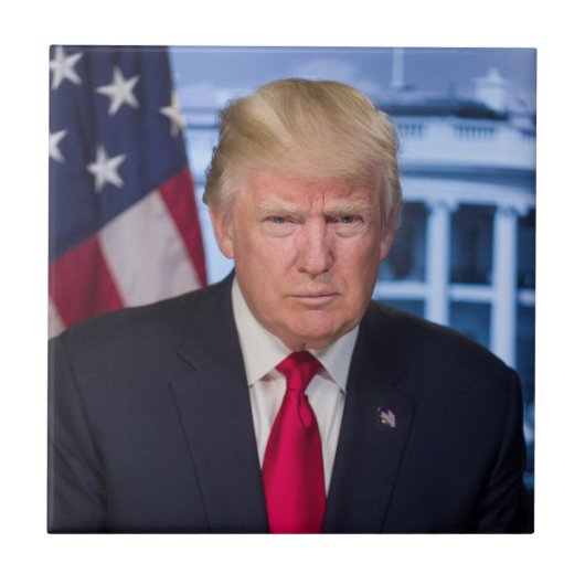 DONALD TRUMP TEGELTJE (Voorkant)