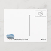 Donc belle Venice Beach Carte Postale ! (Dos)