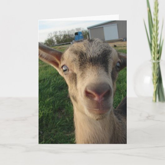 Donder bij één week oud kaart (Voorkant)