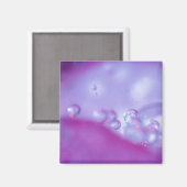 Donderdruppels op abstract bloempetaal. Krediet al Magneet (Voorkant / Achterkant)