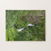 Dondervogel Painterly Legpuzzel (Horizontaal)