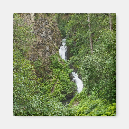 Dondervogel Painterly Magneet (Voorkant)