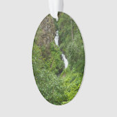 Dondervogel Painterly Ornament (voorkant)