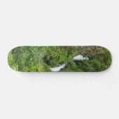 Dondervogel Painterly Skateboard (Horizontaal)
