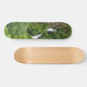 Dondervogel Painterly Skateboard (Horizontaal)