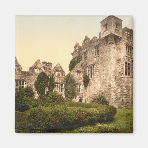 Donegal Castle, County Donegal Magneet
