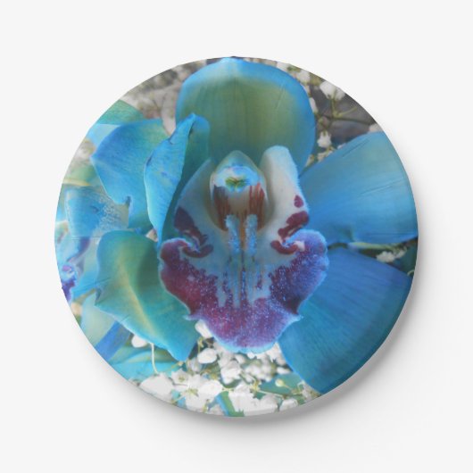 Donella Papieren Bordje (Voorkant)