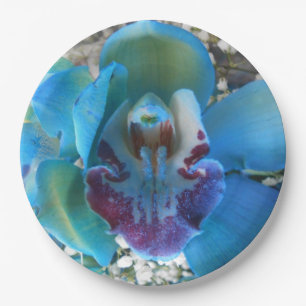 Donella Papieren Bordje