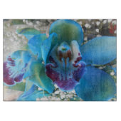 Donella Snijplank (Voorkant)