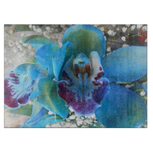 Donella Snijplank (Voorkant)