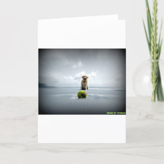 Dongles en bal.jpg feestdagen kaart