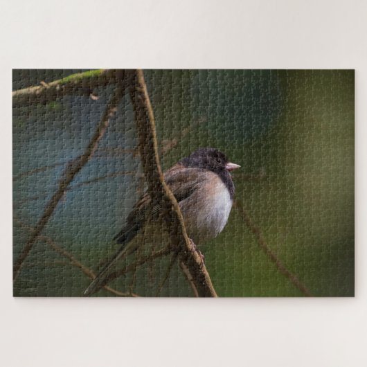 Donk Eyed Junco Legpuzzel (Horizontaal)