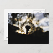 Donk N Dandy Briefkaart (Voorkant / Achterkant)