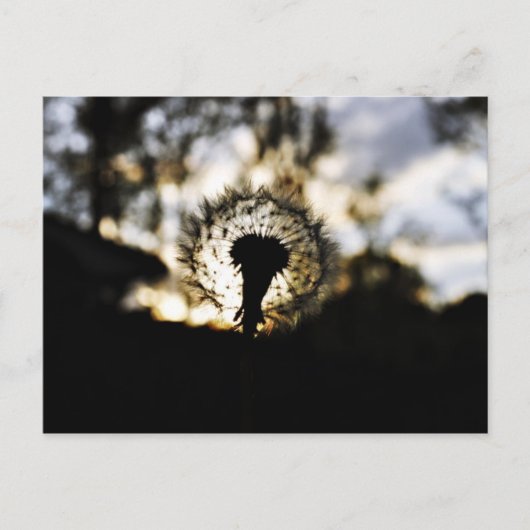 Donk N Dandy Briefkaart (Voorkant)