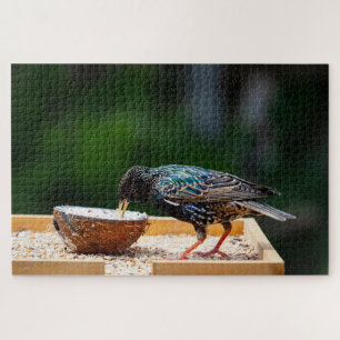 Donker gevreesde vogeleet kosnoot legpuzzel
