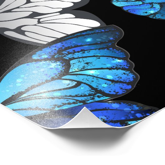 Donker naadloos patroon met blauwe vlinders Morpho Foto Afdruk (Hoek)