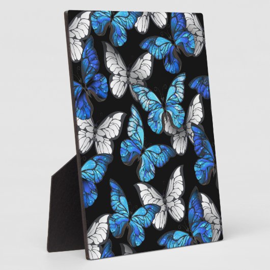 Donker naadloos patroon met blauwe vlinders Morpho Fotoplaat (Zijkant)
