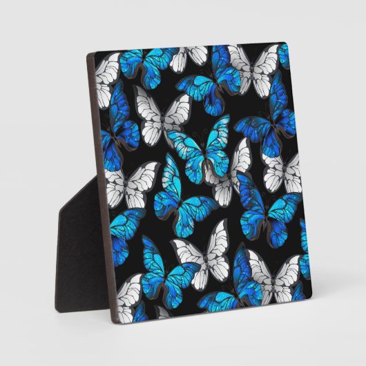 Donker naadloos patroon met blauwe vlinders Morpho Fotoplaat (Voorkant)