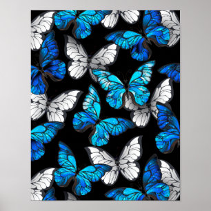 Donker naadloos patroon met blauwe vlinders Morpho Poster