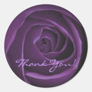 Donker Paarse Rozen Sticker