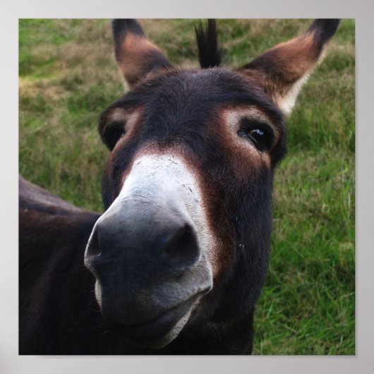 Donkerafdrukken glimlachen poster (Voorkant)