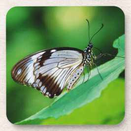 Donkerbruin en grijze vlinder bier onderzetter