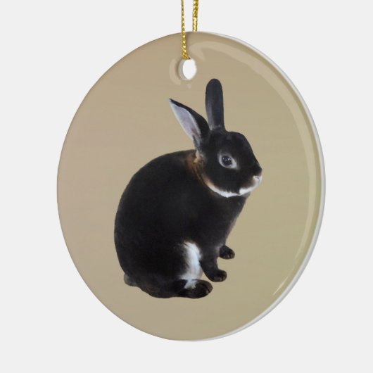 Donkerbruin en wit Mini Rex Konijn Keramisch Ornament (Links)