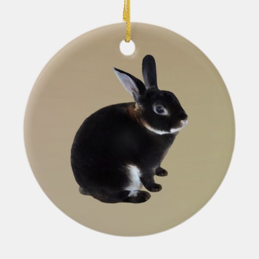 Donkerbruin en wit Mini Rex Konijn Keramisch Ornament (Achterkant)