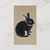 Donkerbruin en wit Mini Rex Konijn Visitekaartje (Achterkant)