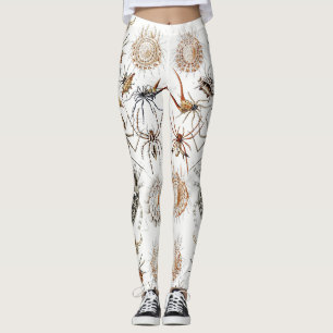 Donkere Academics Haeckel Vintage Spin Symmetrie K Leggings