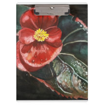 Donkere begonia in Waterverf