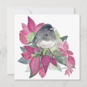 Donkere bevleesde Junco-vogelkaart Kaart (Voorkant)