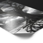 Donkere bomen foto afdruk (Hoek)