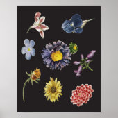 Donkere botanische bloemen op zwart poster (Voorkant)