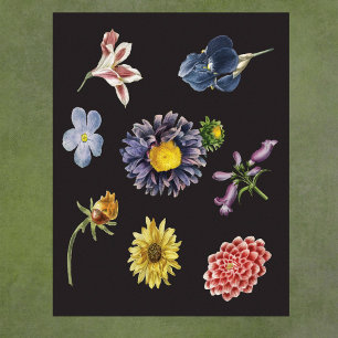 Donkere botanische bloemen op zwart poster
