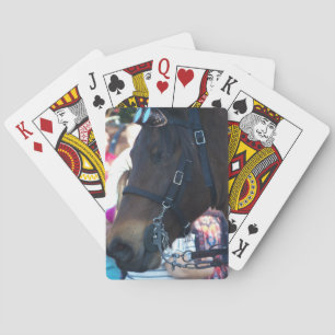 Donkere bruine Arabische paard draagt een bril Pokerkaarten