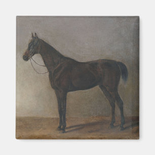 Donkere bruine Gelding Horse ( dierlijke kunst) Magneet