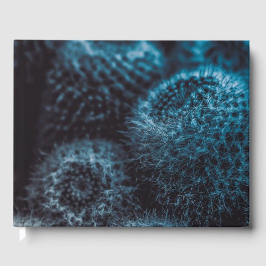 Donkere Cactus Gastenboek (Voorkant)