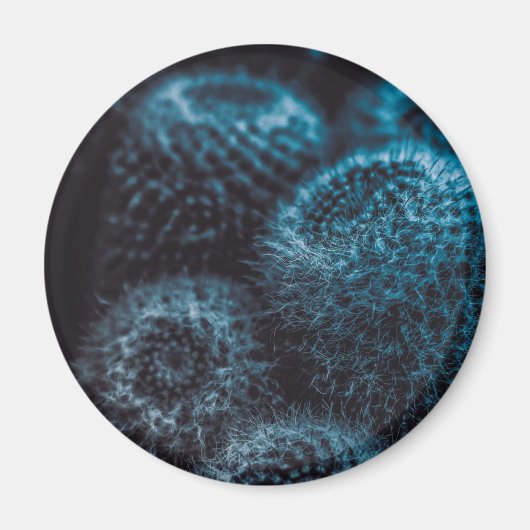 Donkere Cactus Magneet (Voorkant)