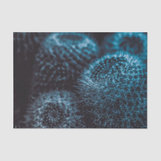 Donkere Cactus Tissuepapier (Voorkant)