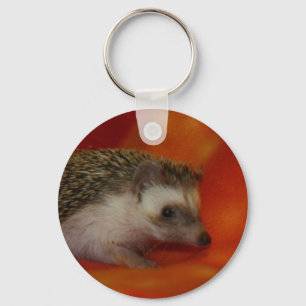 Donkere egel sleutelhanger