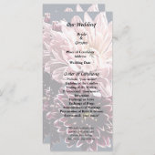 Donkere en lichte moeders en madeliefjes programma (Voorkant / Achterkant)