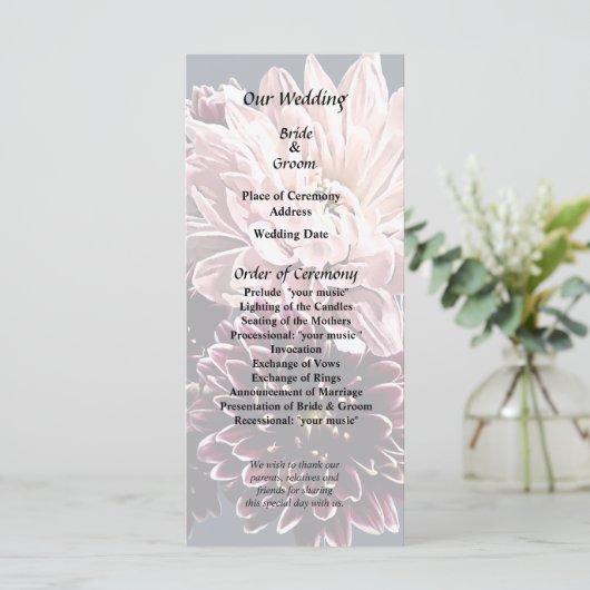 Donkere en lichte moeders en madeliefjes programma (Staand voorkant)