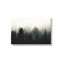 Donkere evergreens in witte mist